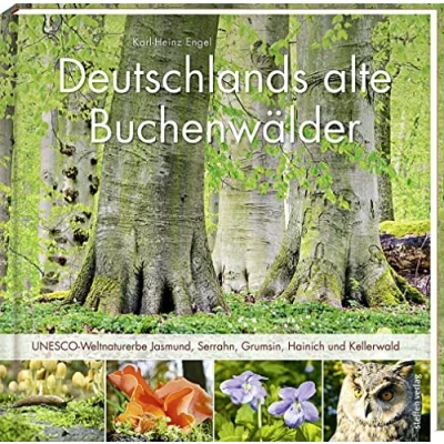 Abbildung von Deutschlands alte Buchenwälder: UNESCO Weltnaturerbe Jasmund, Serrahn, Grumsin, Hainich und Kellerwald