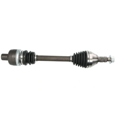 Abbildung von Antriebswelle PASCAL G2X095PC