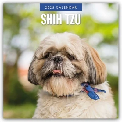 Abbildung von Shih Tzu 2025 16 Monatskalender: Original Red Robin Publishing Ltd Kalender [Mehrsprachig] [Kalender] (Wall Kalender)