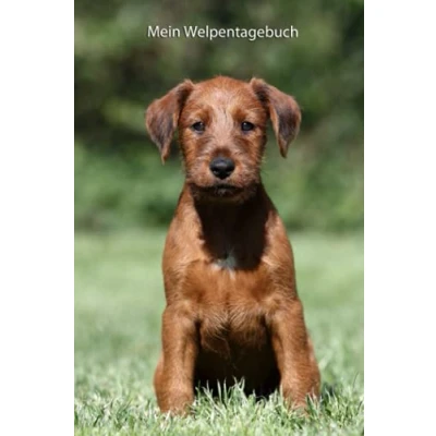 Abbildung von Mein Welpentagebuch: die ersten Monate mit meinem Irish Terrier (Irish alle Bücher: Trainingstagebuch, Krankenakte und Welpentagebuch, Band 3)