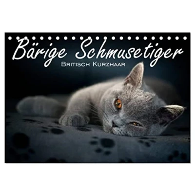 Abbildung von Bärige Schmusetiger Britisch Kurzhaar (Tischkalender 2025 DIN A5 quer), CALVENDO Monatskalender