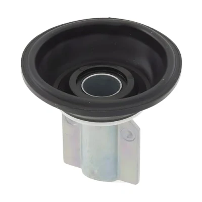Abbildung von Vergasermembran RMS für Piaggio X Evo 125, CM140301
