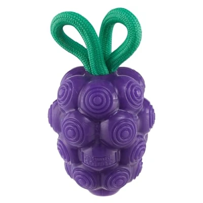 Abbildung von Outward Hound by Planet Dog Dental Grapes Zahnkauspielzeug und interaktives Leckerlifüller, langlebiges Hundespielzeug, gefülltes Größe M, Violett