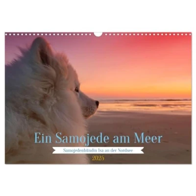 Abbildung von Ein Samojede am Meer (Wandkalender 2025 DIN A3 quer), CALVENDO Monatskalender