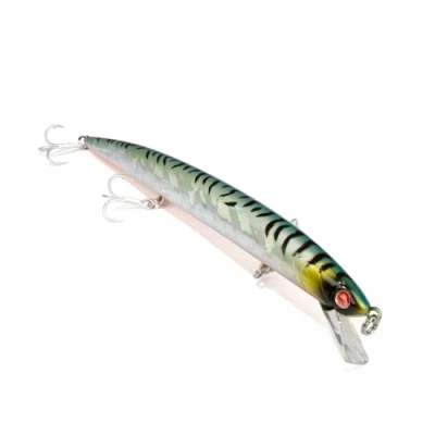 Abbildung von Mommotti 160 S Farbe ITA MACKEREL