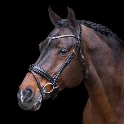 Abbildung von Imperial Riding Zaum IRHOlympia Schwarz/Rosegold Vollblut Agradi.deVerkauft von Agradi