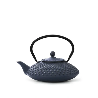 Abbildung von Bredemeijer Flache Blaue gusseiserne Teekanne 1.25 Liter Xilin mit Edelstahlfilter