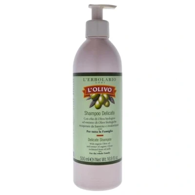 Abbildung von L&#039;Erbolario Sanftes Oliven Shampoo für die ganze Familie 500 ml