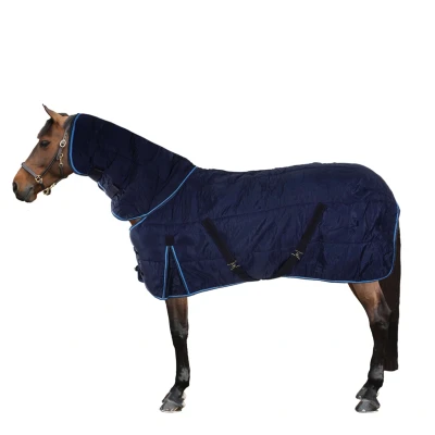 Abbildung von Riding World Stalldecke Combo 198cm
