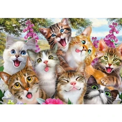 Abbildung von Schmidt Spiele Puzzle Katzen Selfie (Puzzle), 599 Puzzleteile