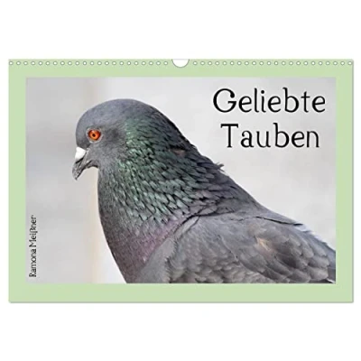 Abbildung von Geliebte Tauben (Wandkalender 2025 DIN A3 quer), CALVENDO Monatskalender