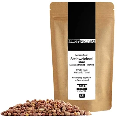 Abbildung von allerFeinst! Mahlep Steinweichselkerne Steinweichsel Mahlab Mahleb Felsenkirsche Kerne, ganz Tsoureki Gewürz (Griechisches Osterbrot), 1er Pack (1 x 100g)