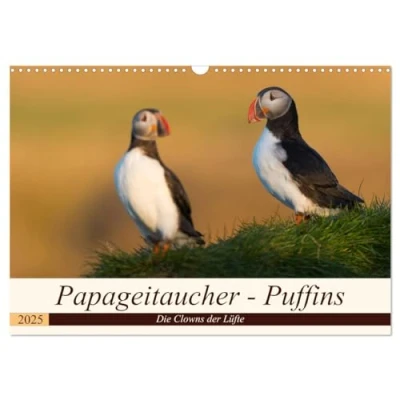 Abbildung von Papageitaucher Puffins (Wandkalender 2025 DIN A3 quer), CALVENDO Monatskalender