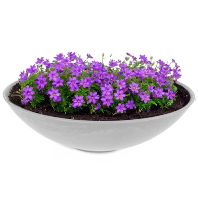 Abbildung von matches21 HOME &amp; HOBBY Große Pflanzschale für draussen in 45 cm hell grau marmoriert als wetterfeste Blumenschale Dekoschale