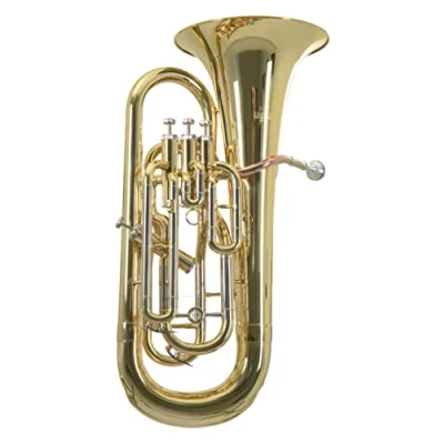Abbildung von Roy Benson Bb Euphonium EP 302 (Professionelles Blasinstrument, mit Goldmessing Mundrohr, Neusilber Außenzüge, Edelstahl Ventile, komfortablem Formetui)