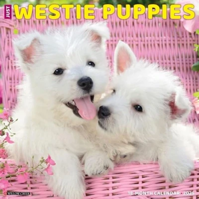 Abbildung von Just Westie Puppies 2025 12 X Wall Calendar
