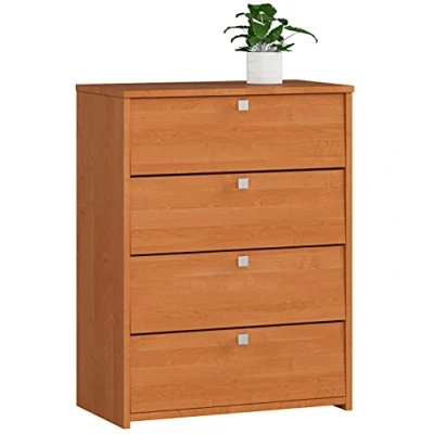 Abbildung von AKORD Schuhschrank mit 4 Schuhregalen und Klapptüren Schuhkipper Schuhregal geschlossen Schuhbank Schuhaufbewahrung B60 x H80 T33 cm, Gewicht 29 kg Farbe Erle