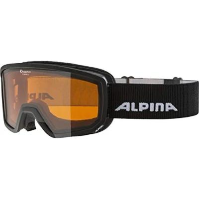 Abbildung von Alpina Skibrille, Größe: One Size, Black (a7262.x.31)