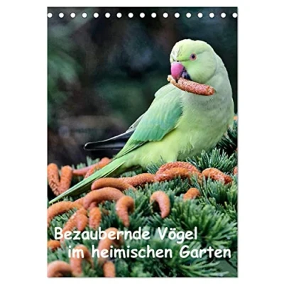 Abbildung von Bezaubernde Vögel im heimischen Garten (Tischkalender 2025 DIN A5 hoch), CALVENDO Monatskalender