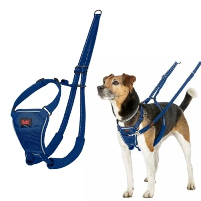 Abbildung von HALTI No Pull Anti Zug Geschirr Verhindert, DASS Ihr Hund an der Leine zieht, Gepolsterter Brust und Beingurt, Reflektierendes Gurtmaterial, Einfache Anpassung Benutzung (Größe XS, Kobaltblau)