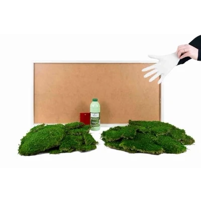 Abbildung von DIY Moosbild 100% Flachmoos, selber Machen, Wandbild kleben, Do it Yourself Set Moos kleben Wanddeko selbst herstellen (Weiß, 110x55 cm)