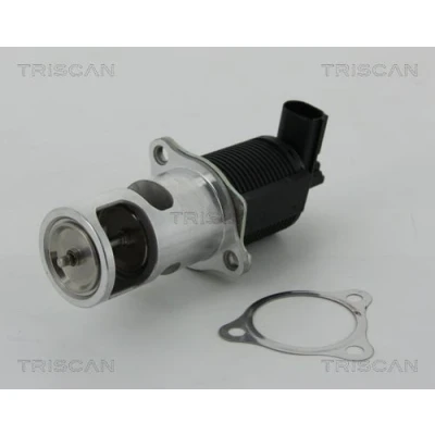 Abbildung von TRISCAN 8813 25038 AGR Ventil elektronisch mit Dichtungen RENAULT: CLIO 3, SCENIC 2, Kangoo I Rapid, NISSAN: MICRA Almera 2 Limousine