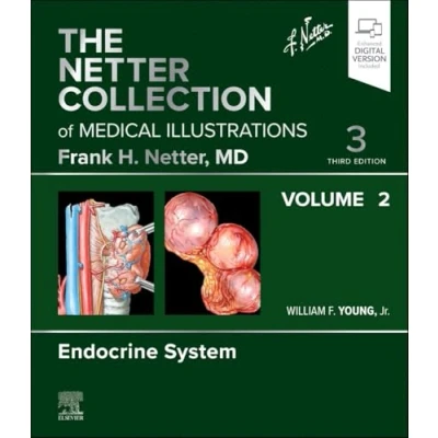 Abbildung von The Netter Collection of Medical Illustrations: Endocrine System, Volume 2 (Netter Green Book Collection, Band 2)