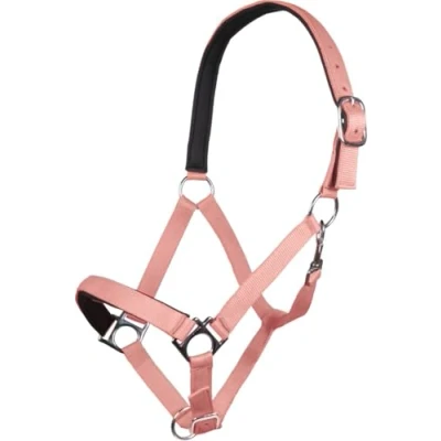 Abbildung von HKM Halfter Stars Softice Neonblau Shetland