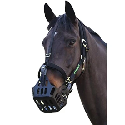 Abbildung von Greenguard Halfter Schwarz Warmblut