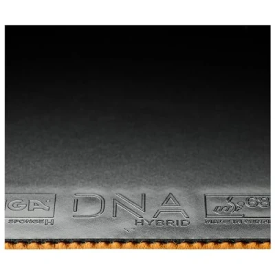 Abbildung von Tischtennisbelag DNA Hybrid H