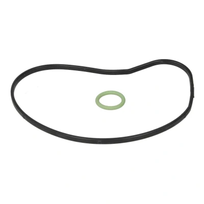 Abbildung von Dichtungssatz, Wasserpumpe ELRING 359.200