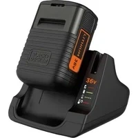 Abbildung von Ladegerät + Akku BDC2A36 QW, 36Volt