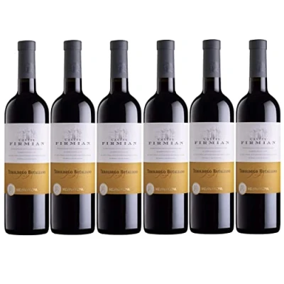 Abbildung von Castel Firmian Teroldego Rotaliano Trentino DOC Rotwein Wein trocken Italien I FeinWert Paket (6 Flaschen)