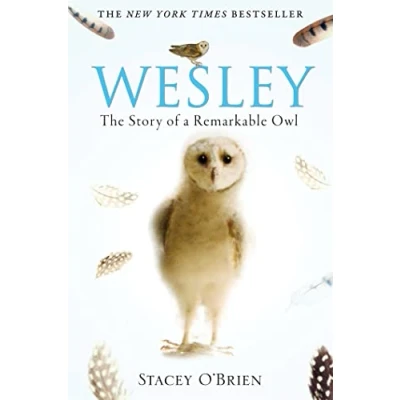 Abbildung von Wesley: The Story of a Remarkable Owl