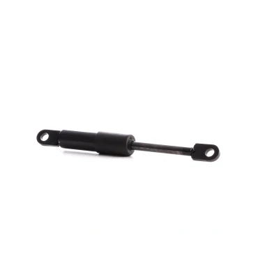Abbildung von RIDEX 1207G0007 Gasfeder, Verdeck BMW: 3 Cabrio