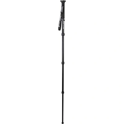 Abbildung von Celestron 82053 Hummingbird Monopod, eine stabile Plattform für Ihr Spektiv, Fernglas oder Ihre Kamera.