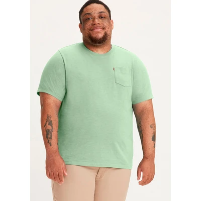 Abbildung von Levi&#039;s BIG Classic Pocket Mineral Tshirt basic, Herren, Größe: 5XL, Green