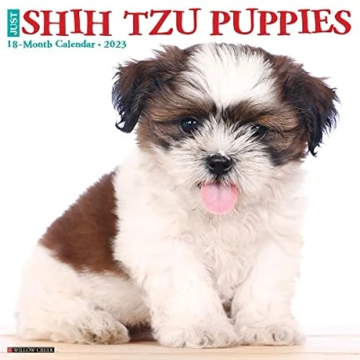 Abbildung von Just Shih Tzu Puppies 2023 Wall Calendar