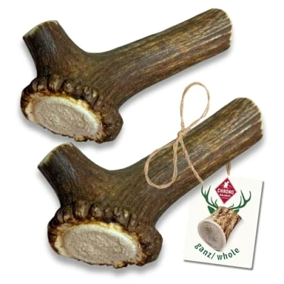Abbildung von ChronoBalance® L Kaustange für Hunde ganze Stücke als Kauspielzeug: 100% Hirschgeweih Hunde, Hundespielzeug, Leckerli Zahnpflege, Kausnack, Geweih Kauknochen, Natürlich ohne Zusätze (2er Set)
