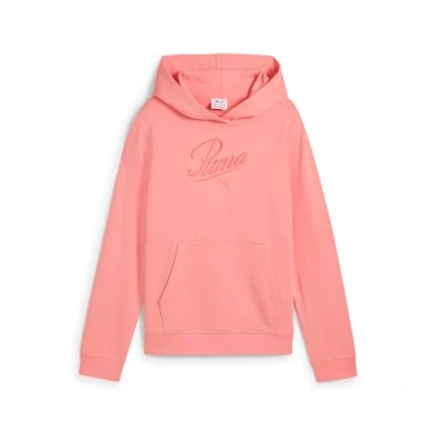 Abbildung von PUMA Kapuzensweatshirt &quot;ESS SCRIPT HOODIE TR G&quot;