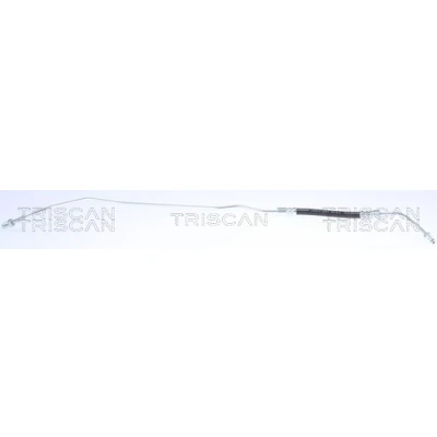 Abbildung von TRISCAN 8150 29343 Bremsschläuche 163 M10x1 VOLKSWAGEN: Sharan I, SEAT: Alhambra I