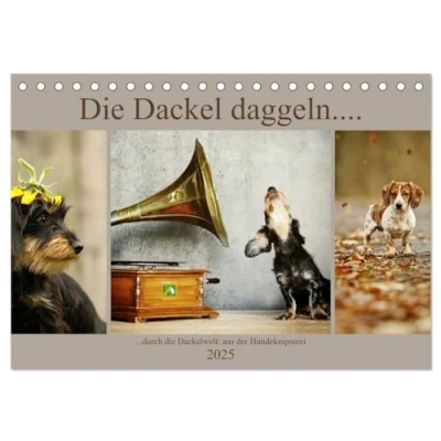 Abbildung von Die Dackel daggeln (Tischkalender 2025 DIN A5 quer), CALVENDO Monatskalender