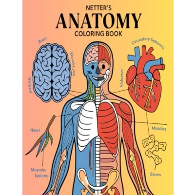 Abbildung von netter&#039;s anatomy coloring book: Incredibly Detailed Self Test Color workbook for Studying Perfect Gift Medical School Students, Doctors, Nurses and Adults