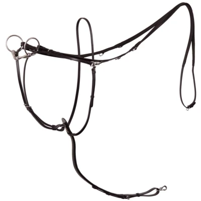 Abbildung von BR Thiedeman Rein Lancaster Pony Schwarz / Silber