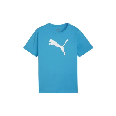 Abbildung von PUMA Jungen Teamrise Logo Jersey Cotton Jr Tees