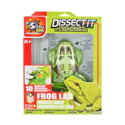 Abbildung von Slimy® Lernspielzeug Slimy Lab Frosch Experimentieren Forschen Sezier Schleim Labor Mint