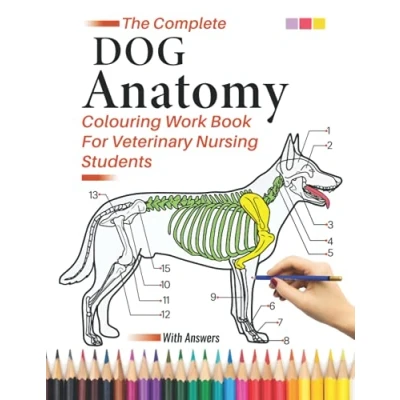 Abbildung von The Complete Dog Anatomy Colouring Work Book For Veterinary Nursing Students: Workbook: Perfect Coloring Gifts/Present ... &amp; Physiology Self Assessment Revision