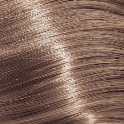 Abbildung von Blonde Expert Highlift 1000.27
