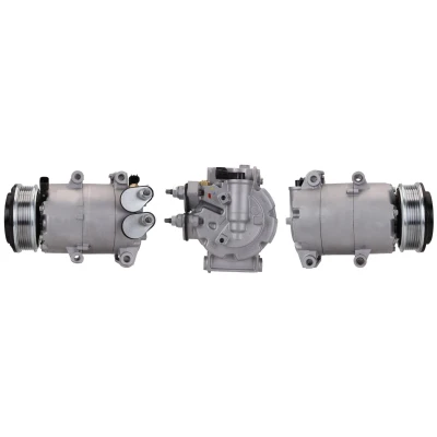 Abbildung von LUCAS ACP01022 Kompressor PAG 46 R 134a mit Dichtungen FORD: FIESTA 6