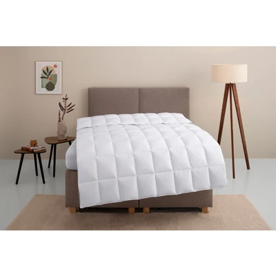 Abbildung von Home affaire Daunenbettdecke &quot;Marseilles Bettdecke 135x200 cm, 155x220 cm und weiteren Größen&quot;, normal, Bezug 100% Baumwolle, (1 St.)